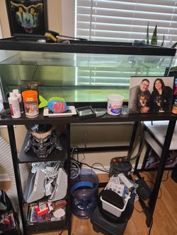 55 gallon tank