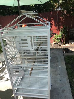 Bird Parrot Cage