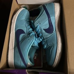 Nike Sb Blue Fury