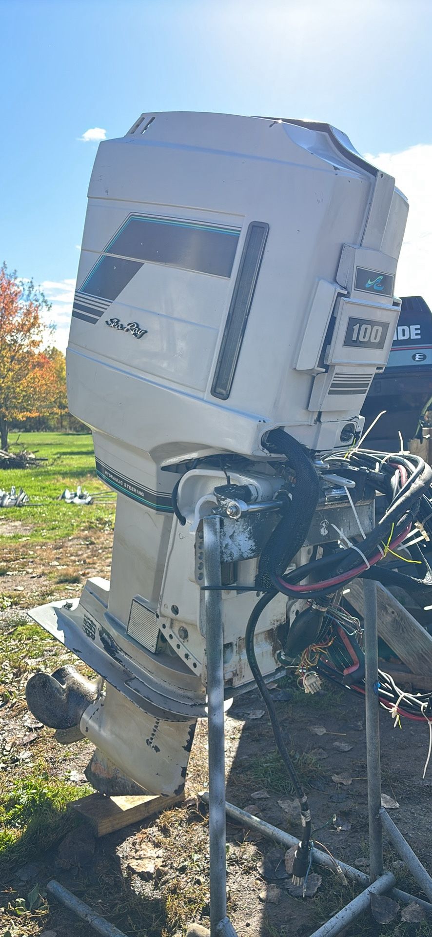 1988 Mercury (sea ray edition) 100hp 2 stroke