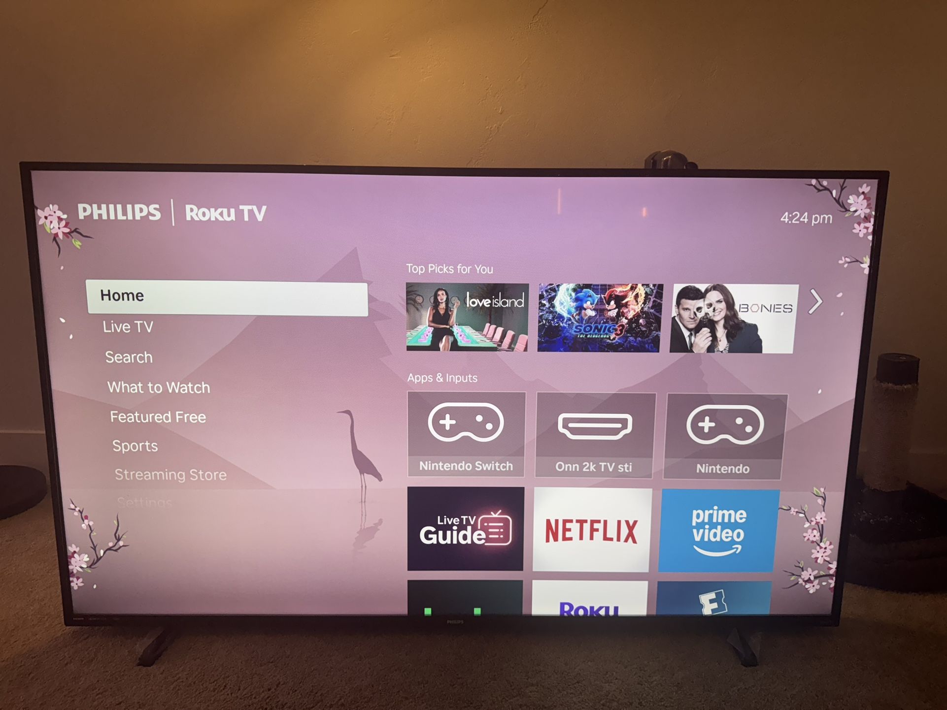 Phillips Roku 65in (4k)