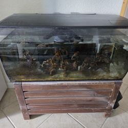 FREE FISH TANK 