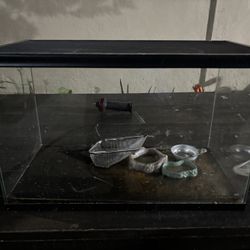 Reptiles Tank 