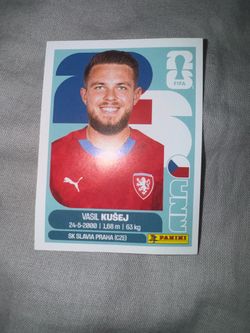Panini World Cup 2026 sticker