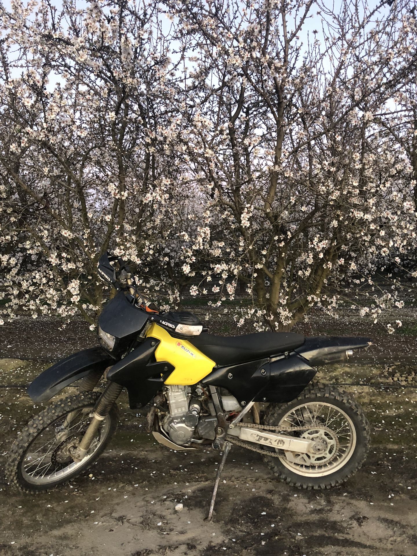 2001 Suzuki Drz 400e