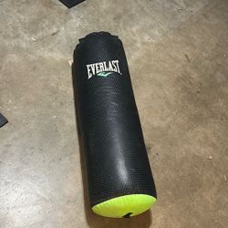 Everlast punching bag