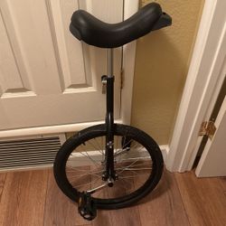 Unicycle 