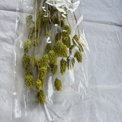 Dried Phalaris grass home decor - Hierba Phalaris seca decorar 
