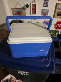 Igloo Cooler