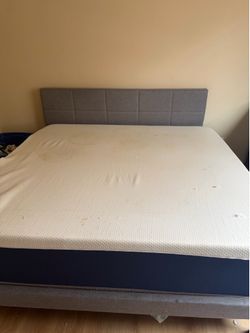 Free King Size