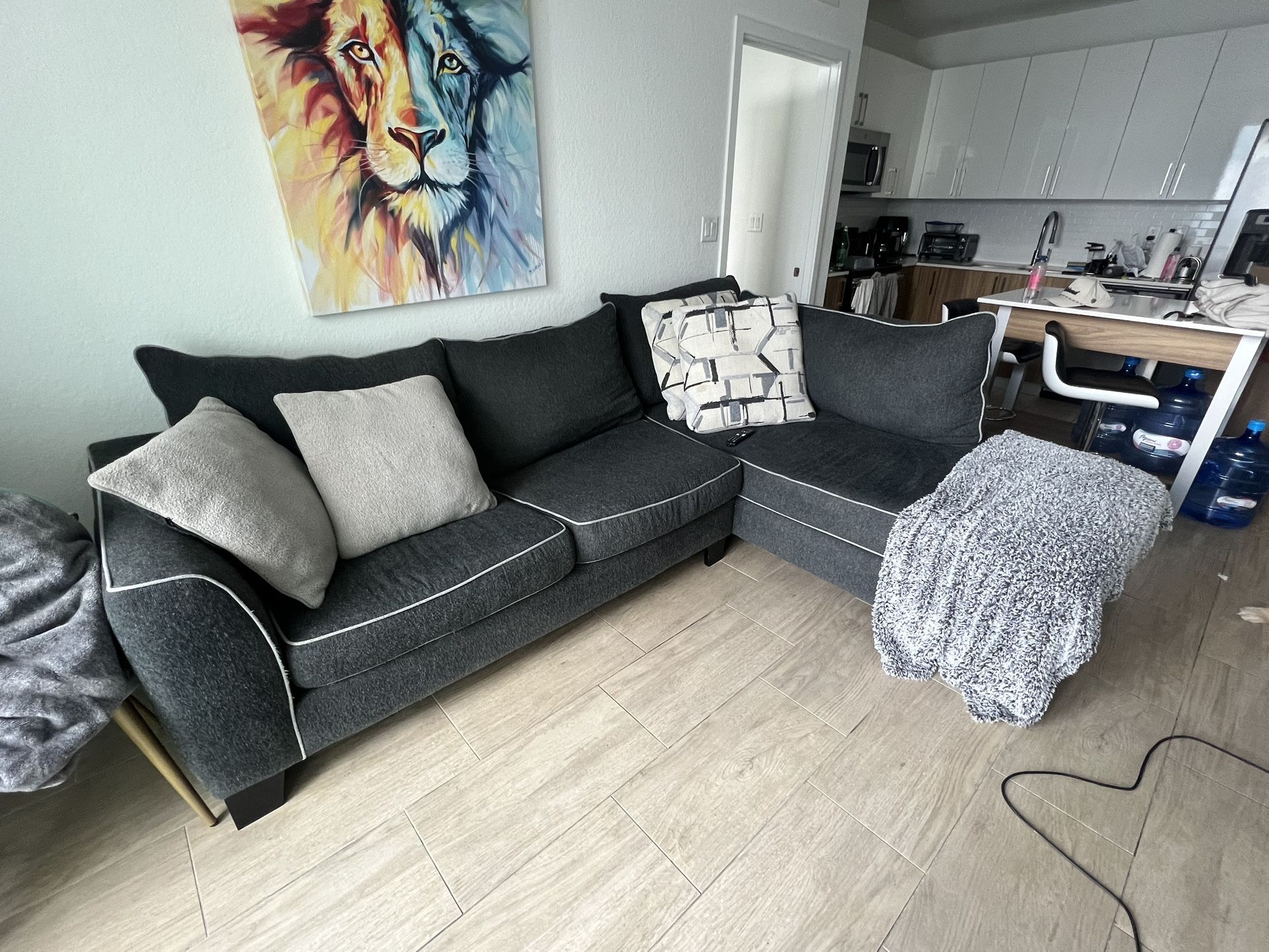 Section Sofa Comfy Couch (NEED THIS GONE)