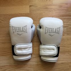 Everlast Powerlock Boxing Gloves 12oz 