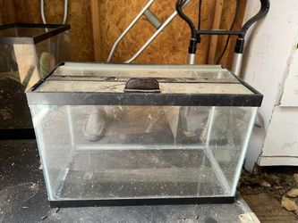 Fish Tank/terrarium