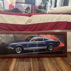Ford Mustang Shelby GT500 Framed Photo Approximately 4’ x 2’