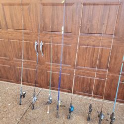 Fishing Collection 
