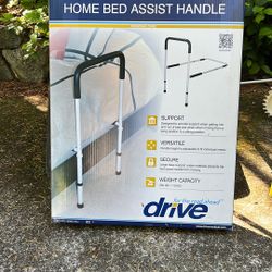 Bed Assist Handle
