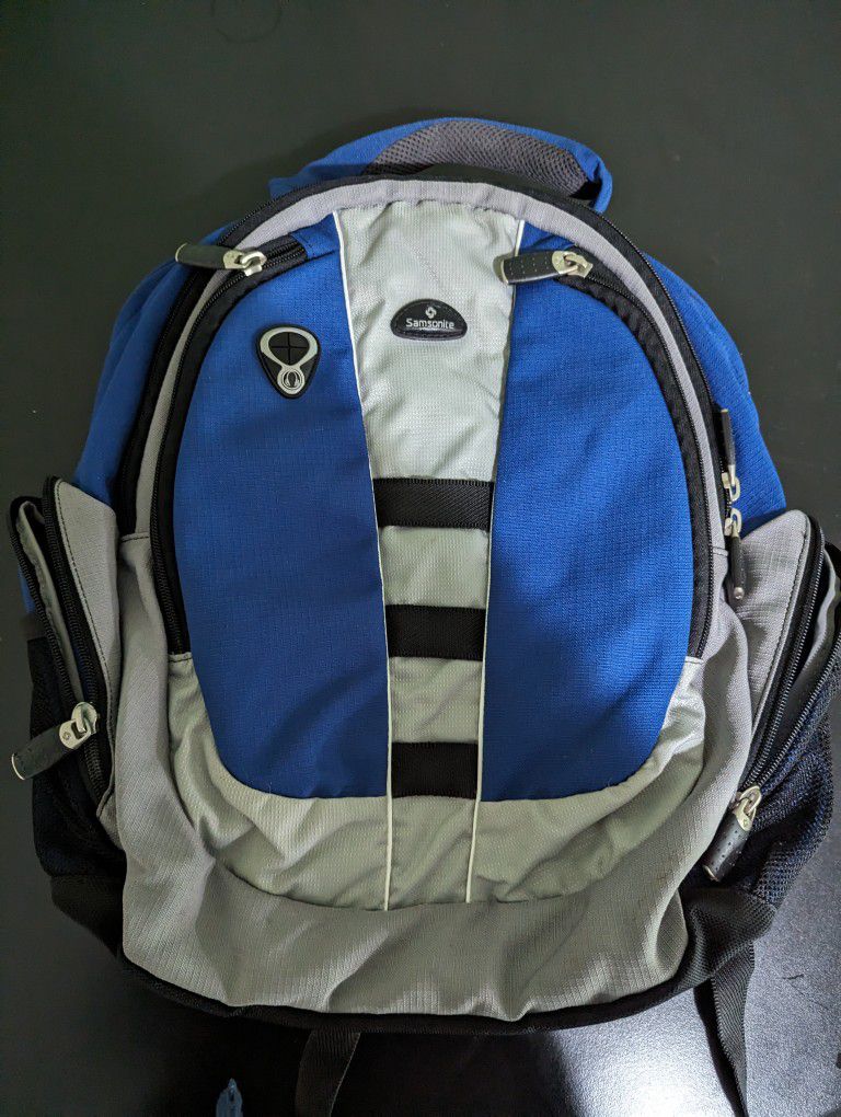 Samsonite Laptop Backpack
