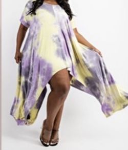 Plus Size Multi Color Sun Dress