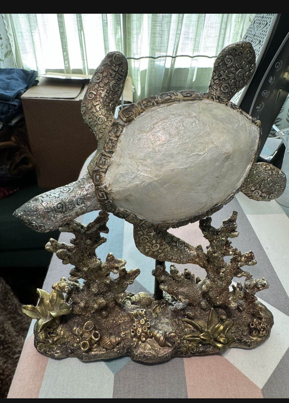 Turtle Design, Aquarium Design