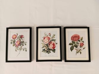 3 Vintage Framed 5" X 7" Prints