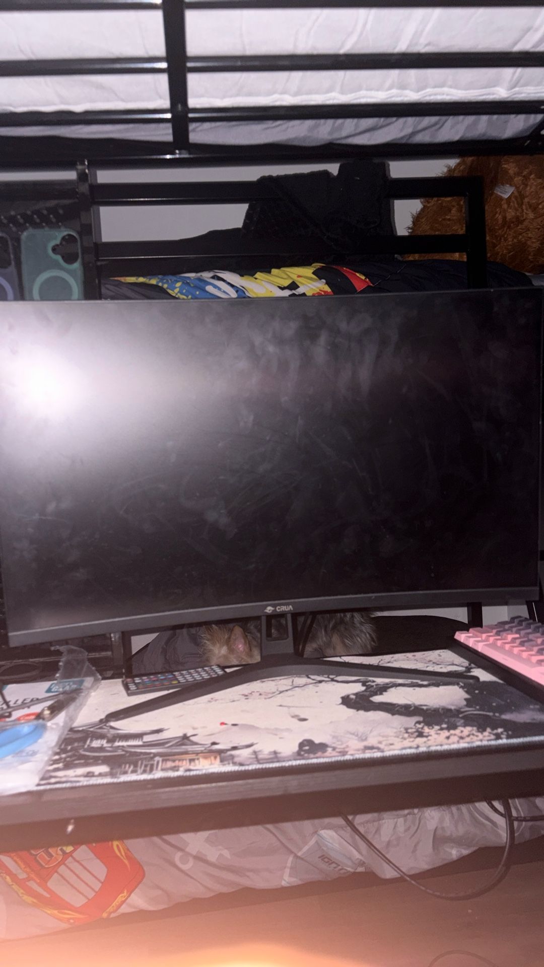 Monitor