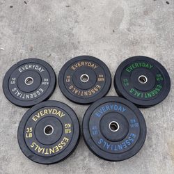 Everyday essentials weight gym plates pairs 