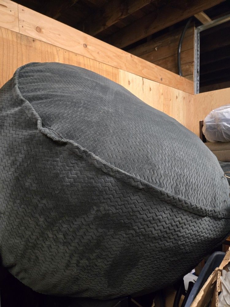 2 Costco Beanbag Chairs