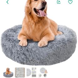 DOG BED