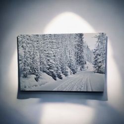 Winter Forest Path – 24x36 Gallery Wrap Canvas