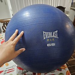 Everlast 65 Exercise Ball