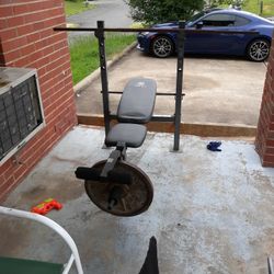 Work Out Bench 