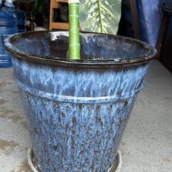 Blue Ceramic Pot With silk plant