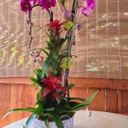 Orchid Flowers Arrangements
