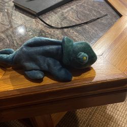 Rainbow The Chameleon 