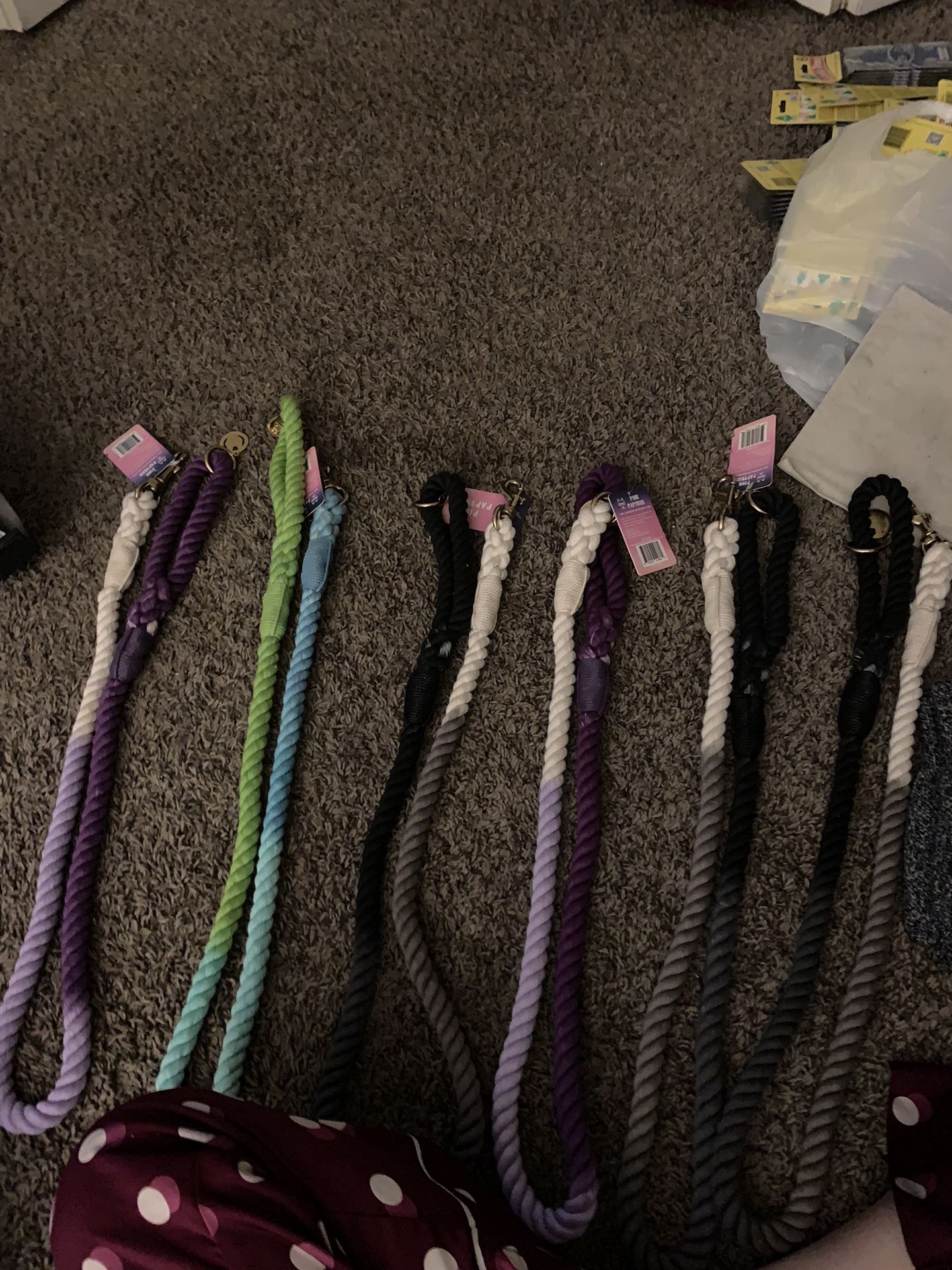 New Dog leashes 