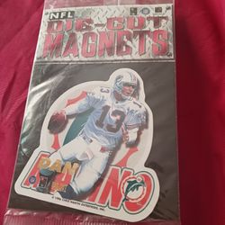 Pair of NFL Magnets