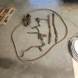 Tree Trimming Equipment 