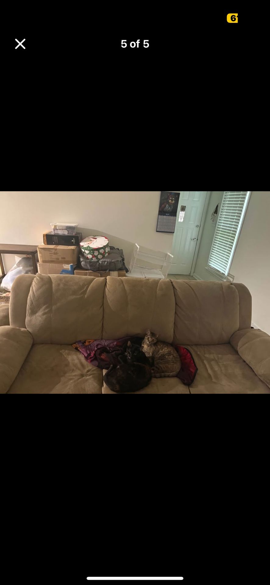Brown And Black Couch