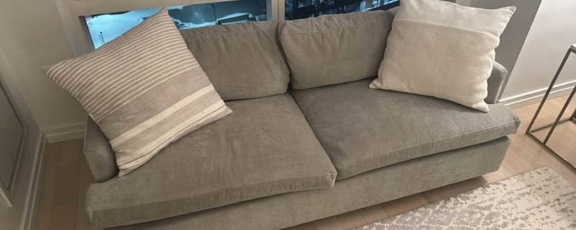 West Elm sofa (sleeper)