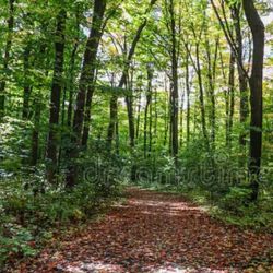 Land For Lease / 35 Acres 