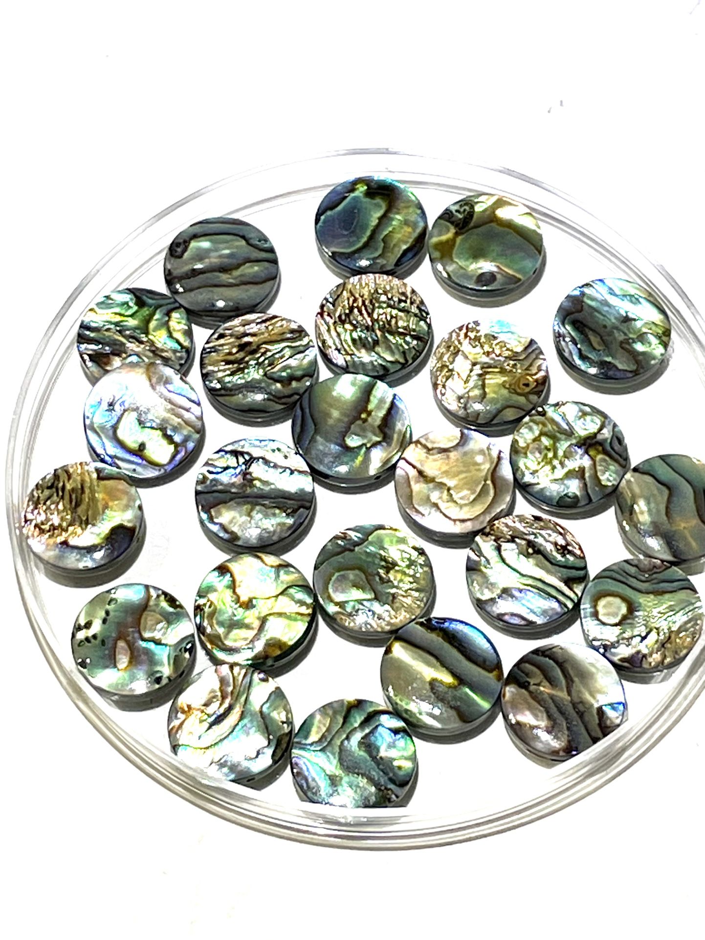 Lot Of 24 Abalone Round Beads 15mm
