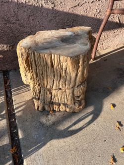 Petrified Wood Stump