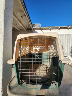 Petmate Ruff Maxx Dog & Cat Kennel/Carrier, Off White/Green, 28-in, 25-30-lbs