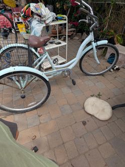 Schwinn Meridian