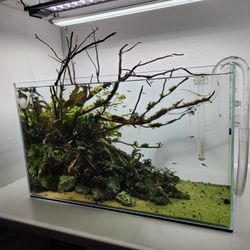 Finnex 24/7 Aquarium Light 20 Inch