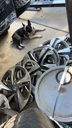 Copas De Honda Civic