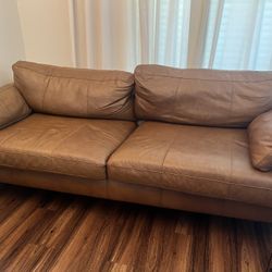 Brown Sofa