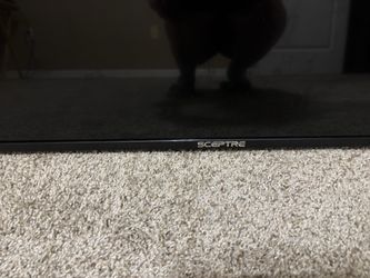 65 inches spectre tv
