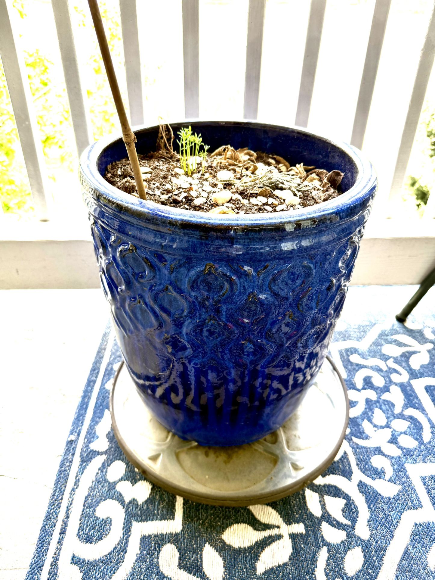 Big Cobalt blue Ceramic Flower pot