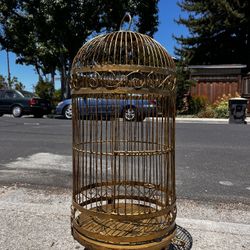 Bird Cage 